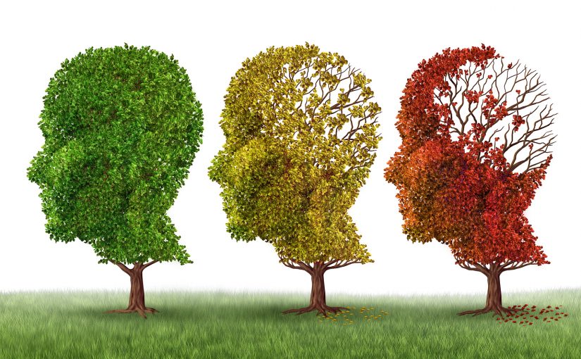 درخشش ابدی یک ذهن پاک؛ دانشمندان می‌گویند پاک کردن حافظه ممکن است