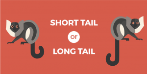 what is long tail keyword