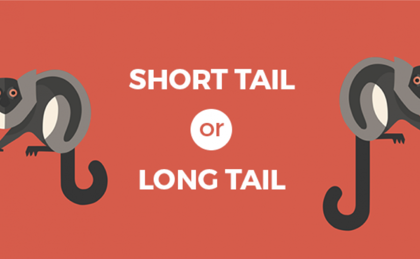 کلیدواژه‌های دم دراز دقیقا چیستند؟