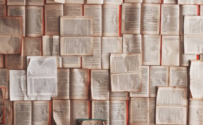 نقش تعداد واژگان در سئو چه می‌تواند باشد؟